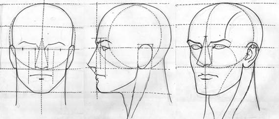 Proporções do rosto para desenhar uma pessoa